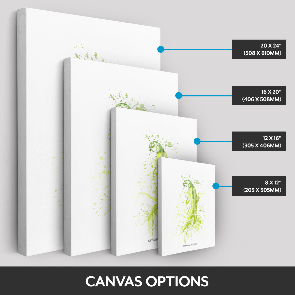 Canvas options