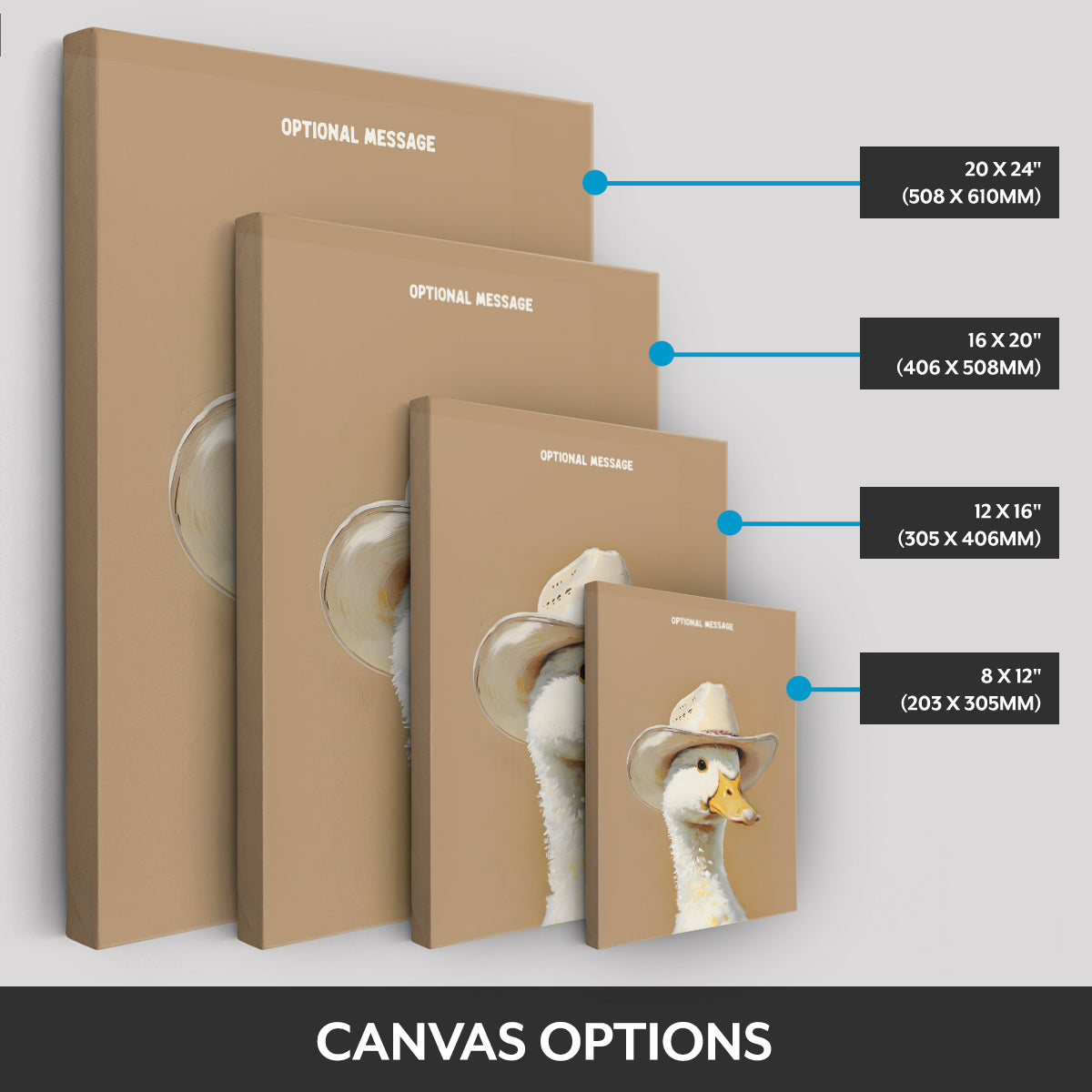 Canvas options