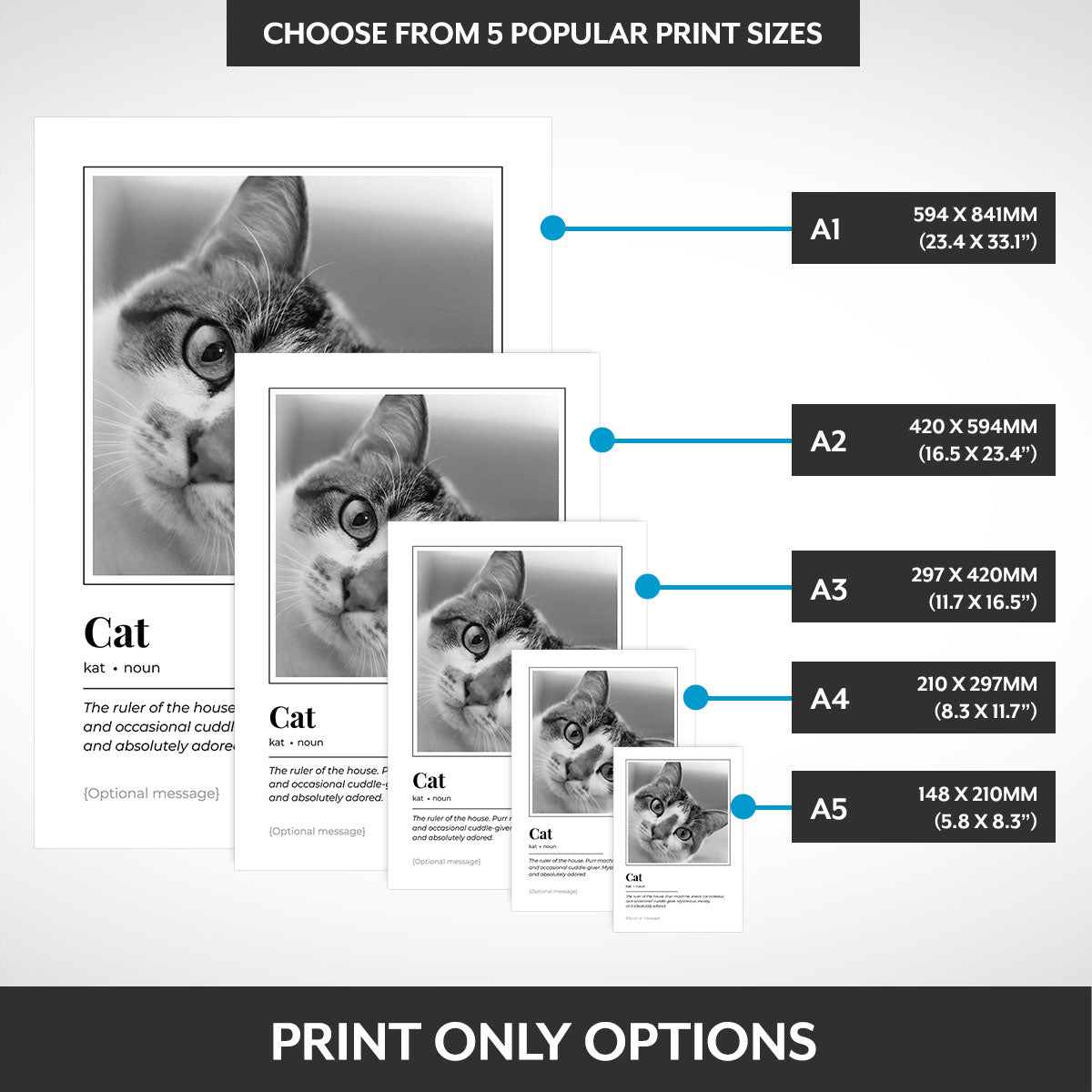 Print options
