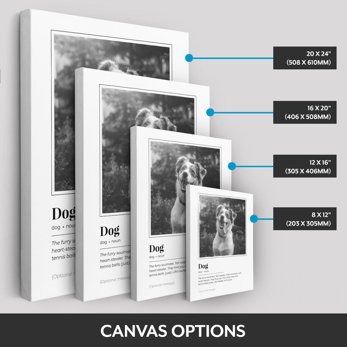 Canvas options