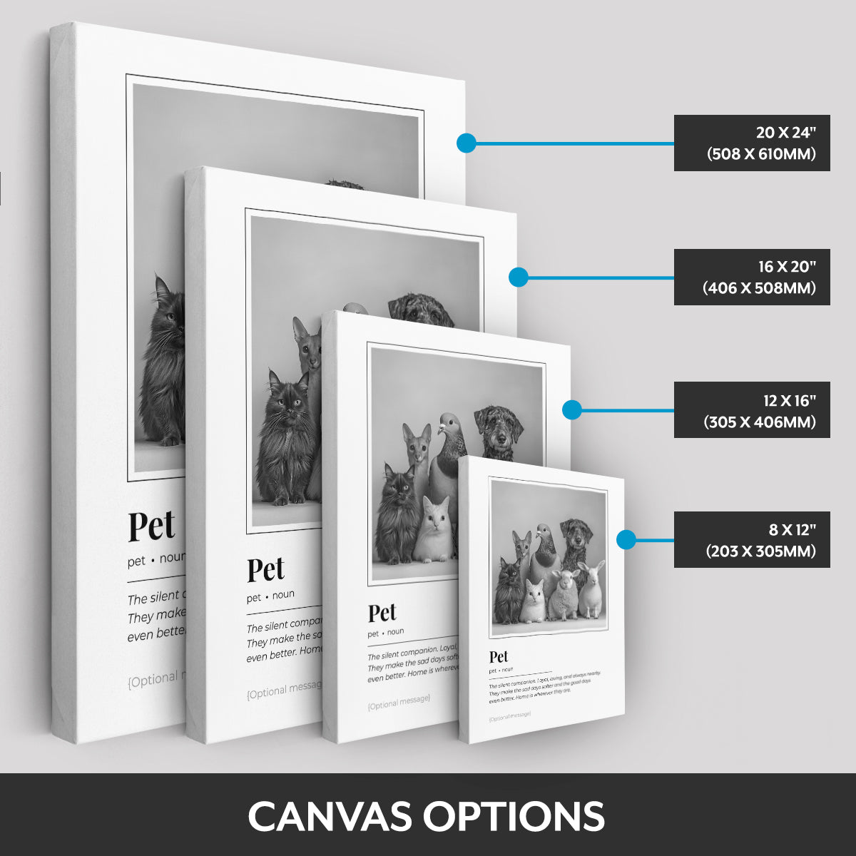 Canvas options
