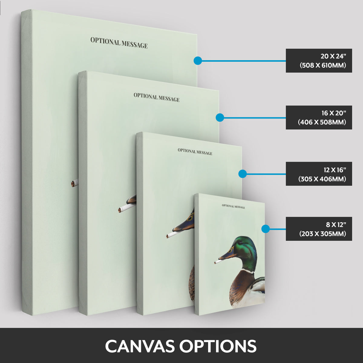 Canvas options