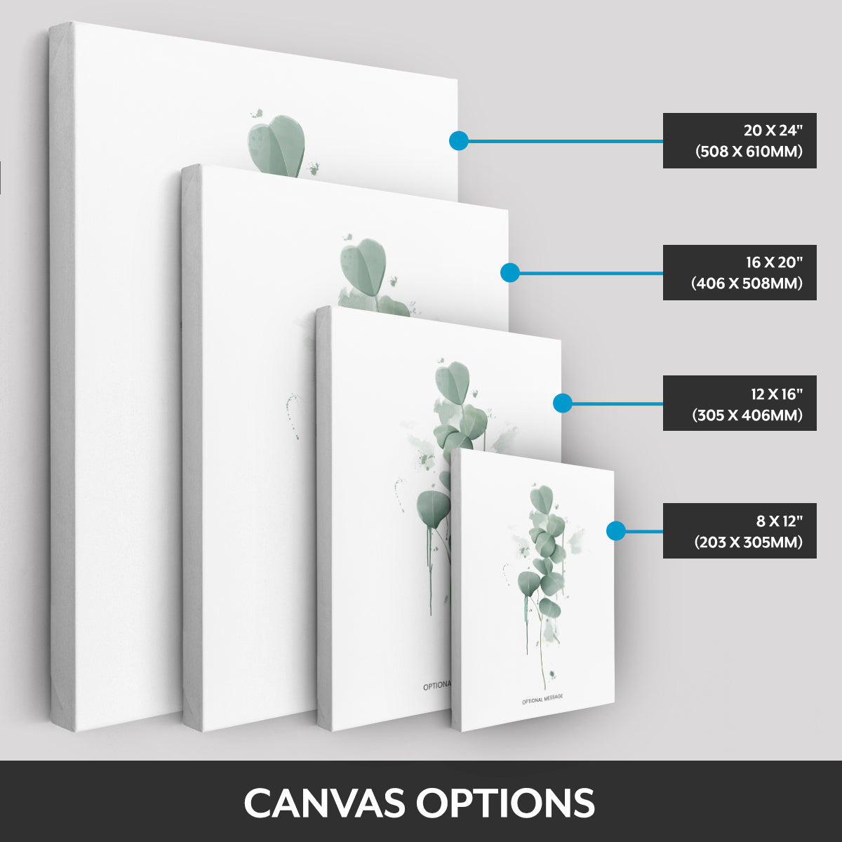 Canvas options