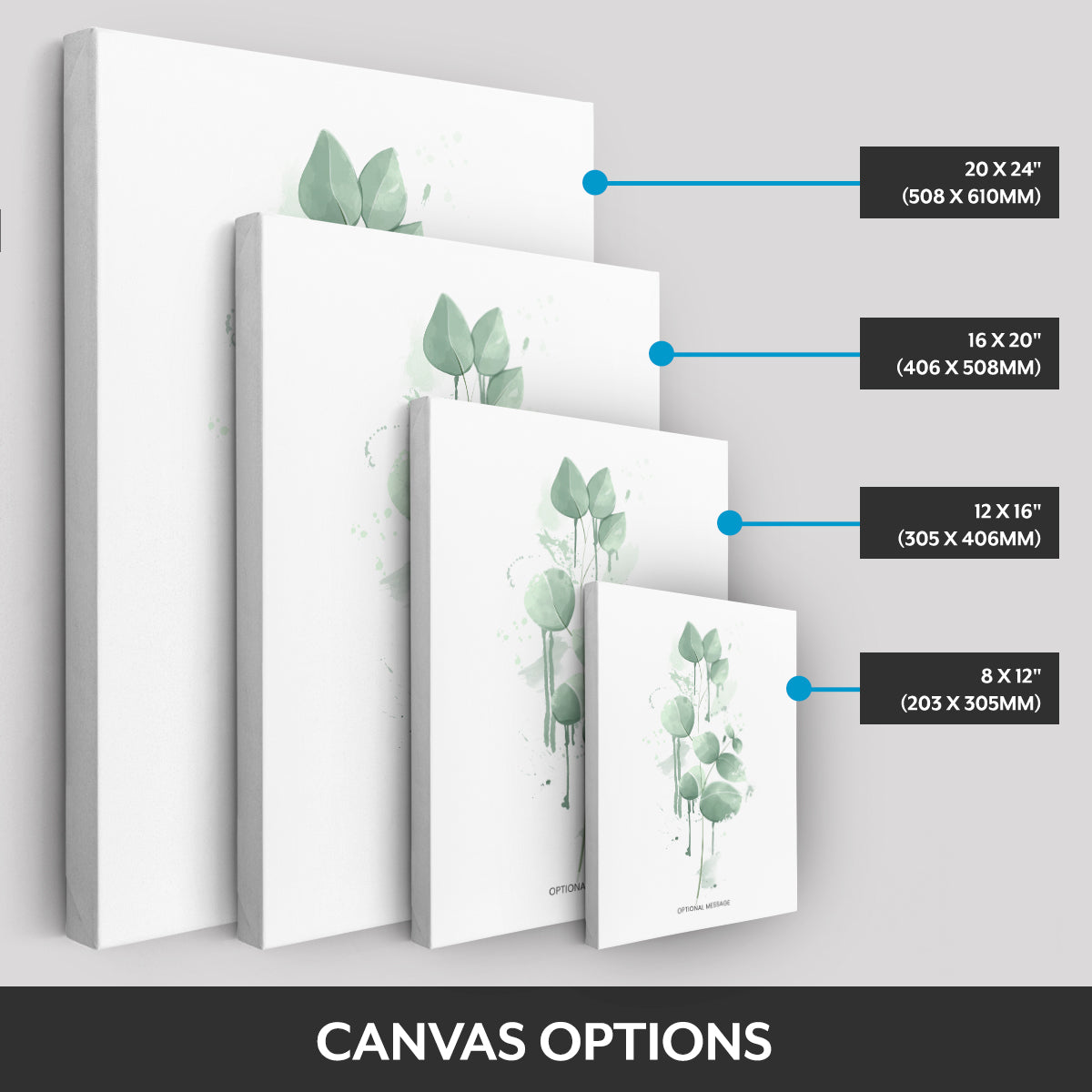Canvas options
