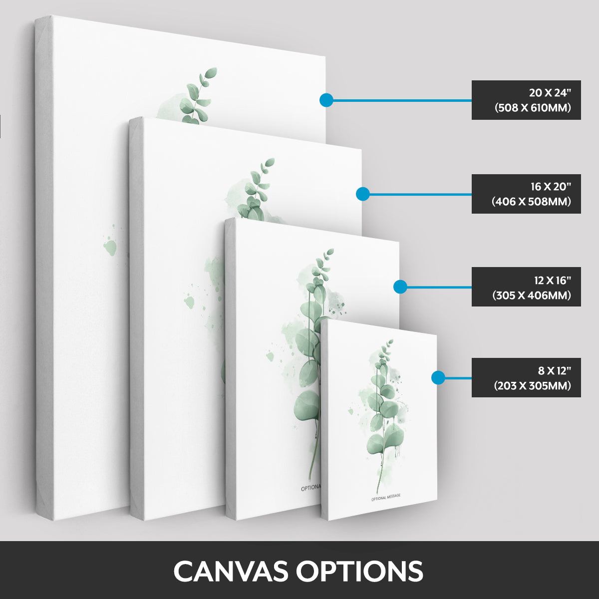 Canvas options