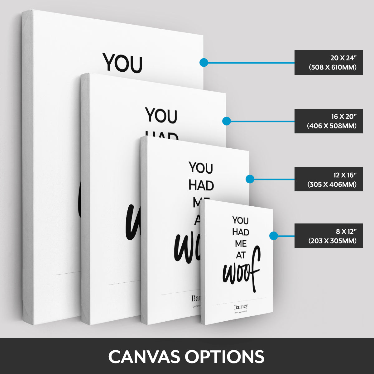 Canvas options