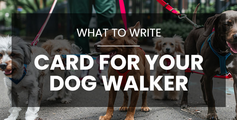 What to Write in a Card for a Dog Walker