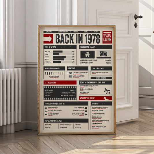 48th Birthday Gifts - Back in 1978 - In This Year Poster