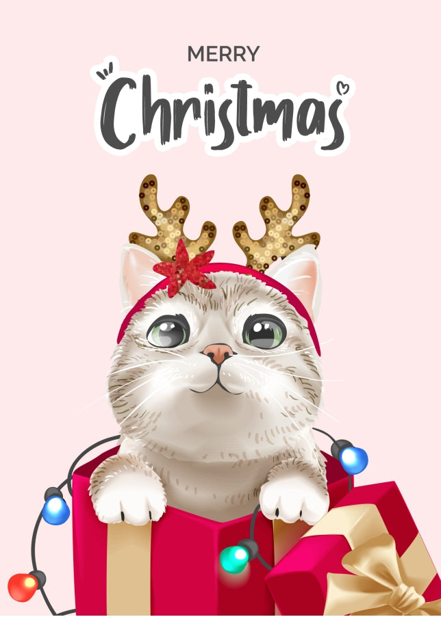 Cute Cat Christmas Card from the Cat in a Box (Present)