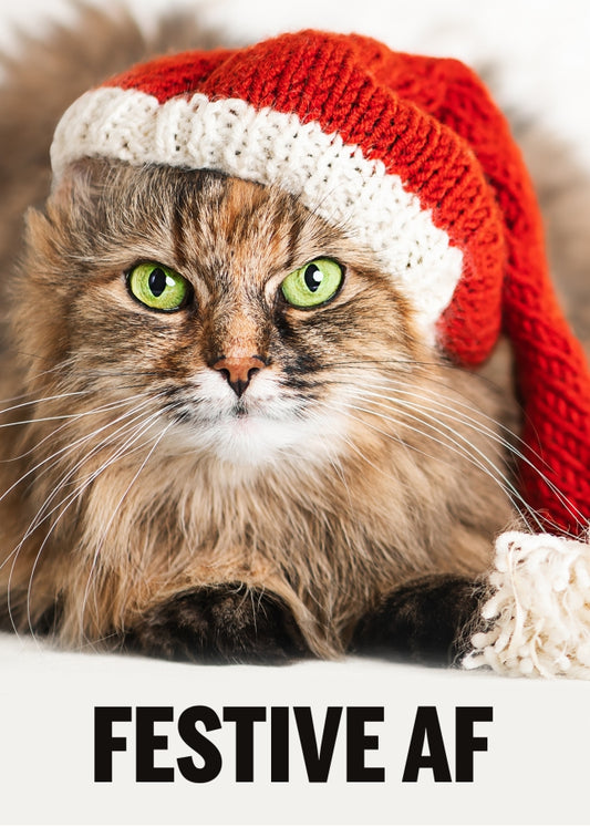 Funny Cat Christmas Card for Cat Mum or Dad - Festive AF!