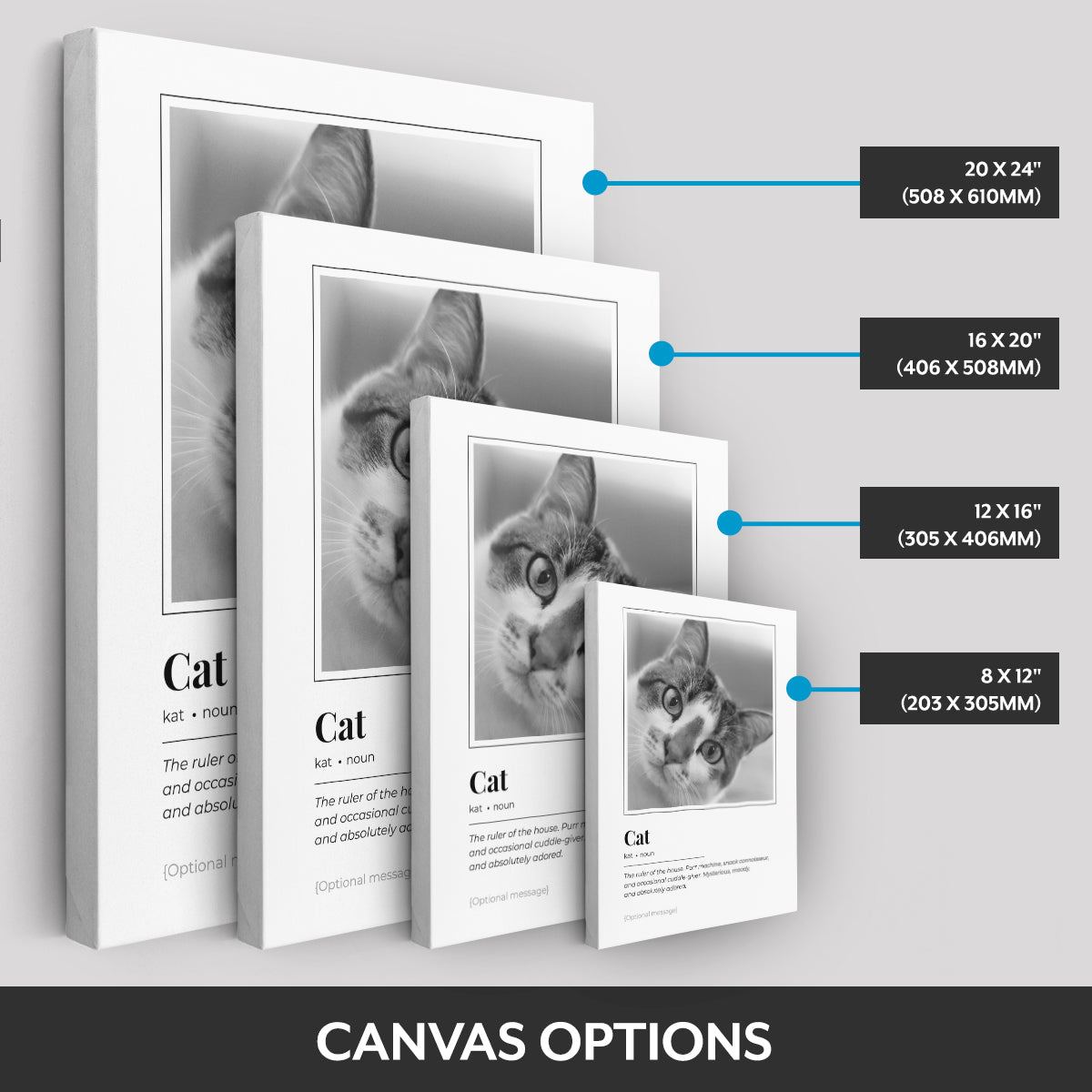 Canvas options