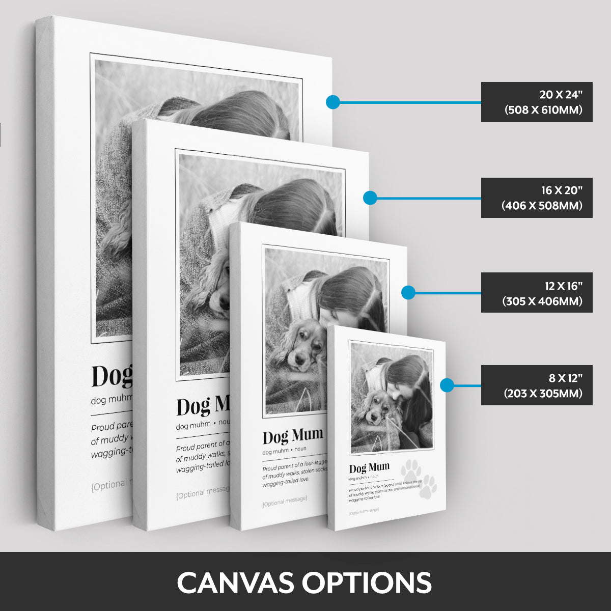 Canvas options