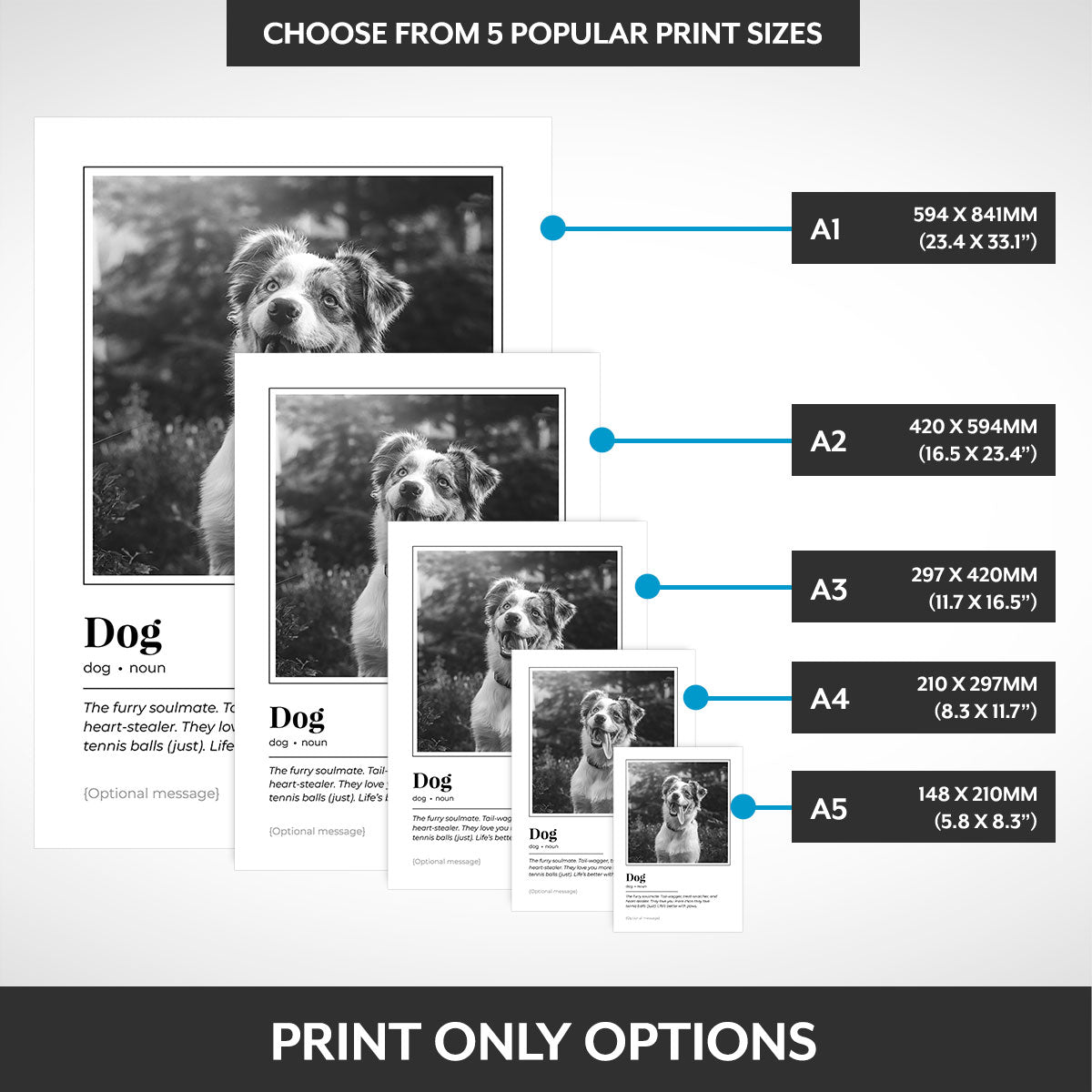 Print options