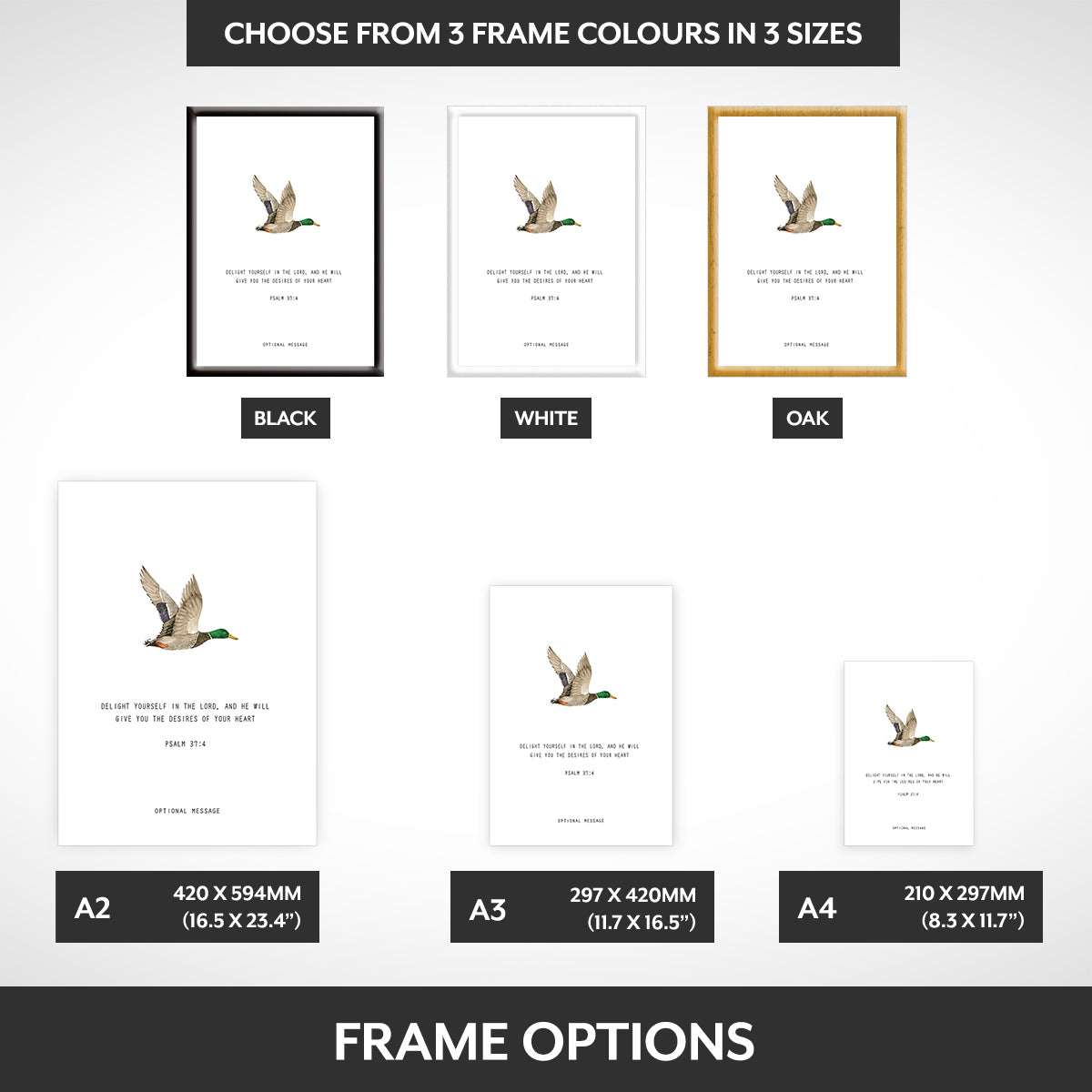 Frame options