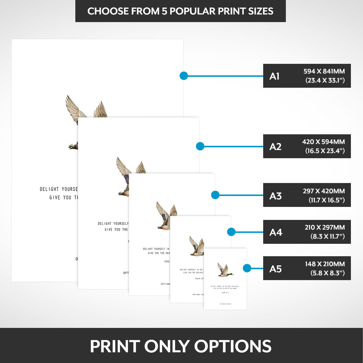Print options