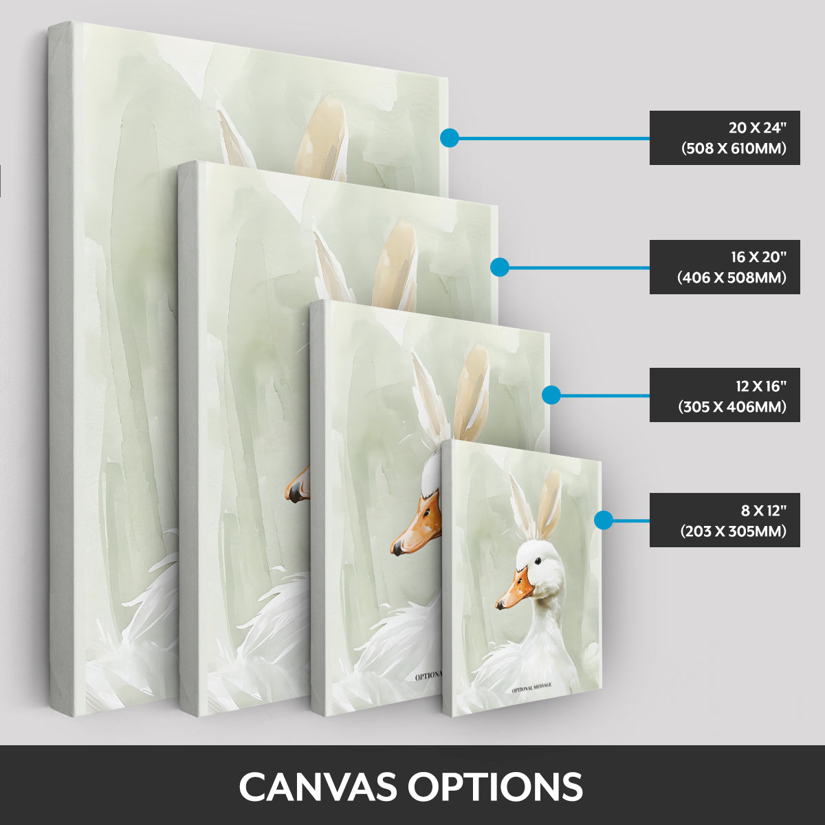 Canvas options