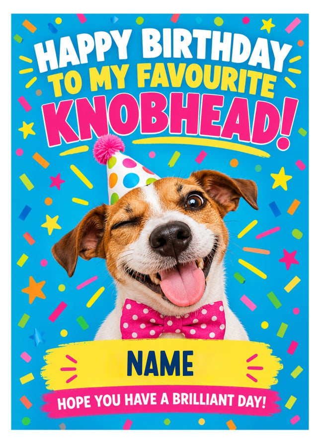 Funny Birthday Card My Favourite Knobhead 2