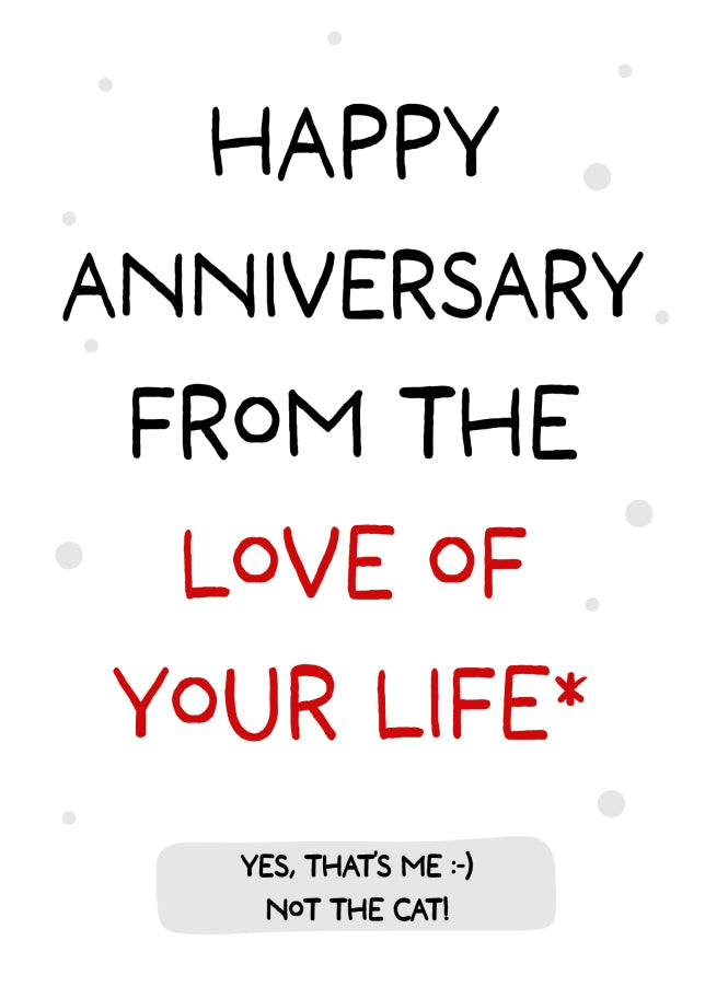 Happy Anniversary from the Love of Your Life - Not The Cat