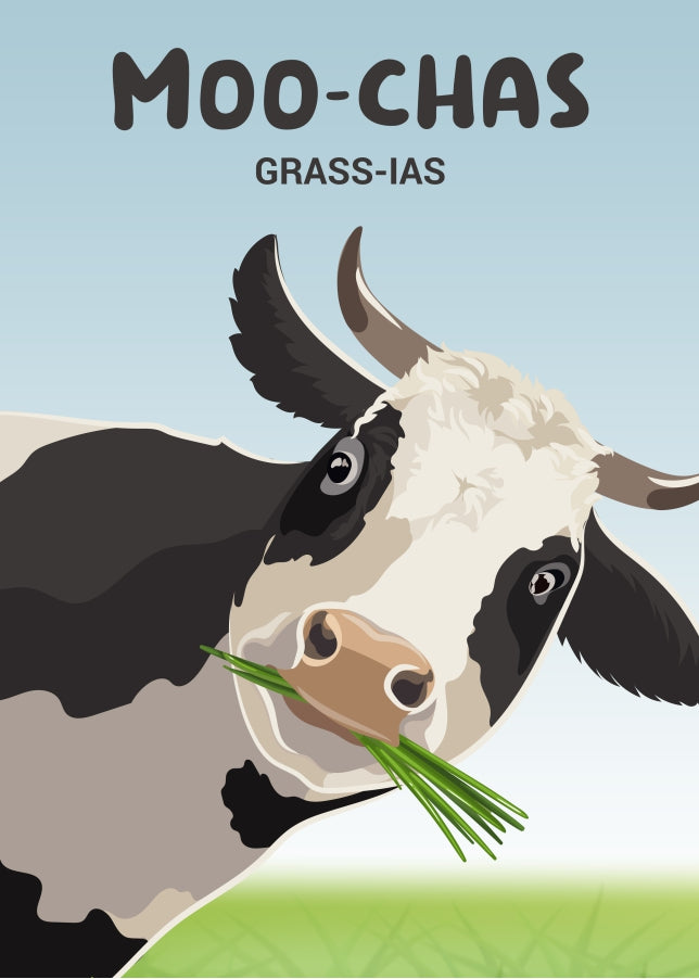 Moochas Gracias Thank You Card - A Single Thank You Greetings Card with a Funny Cow