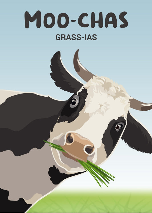 Moochas Gracias Thank You Card - A Single Thank You Greetings Card with a Funny Cow