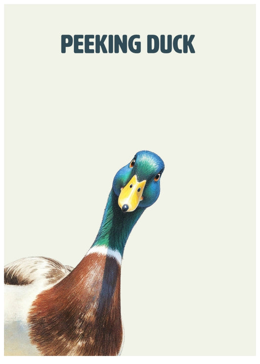 Peeking Duck Birthday Card - Funny Duck Pun - Male and Female Birthday Card