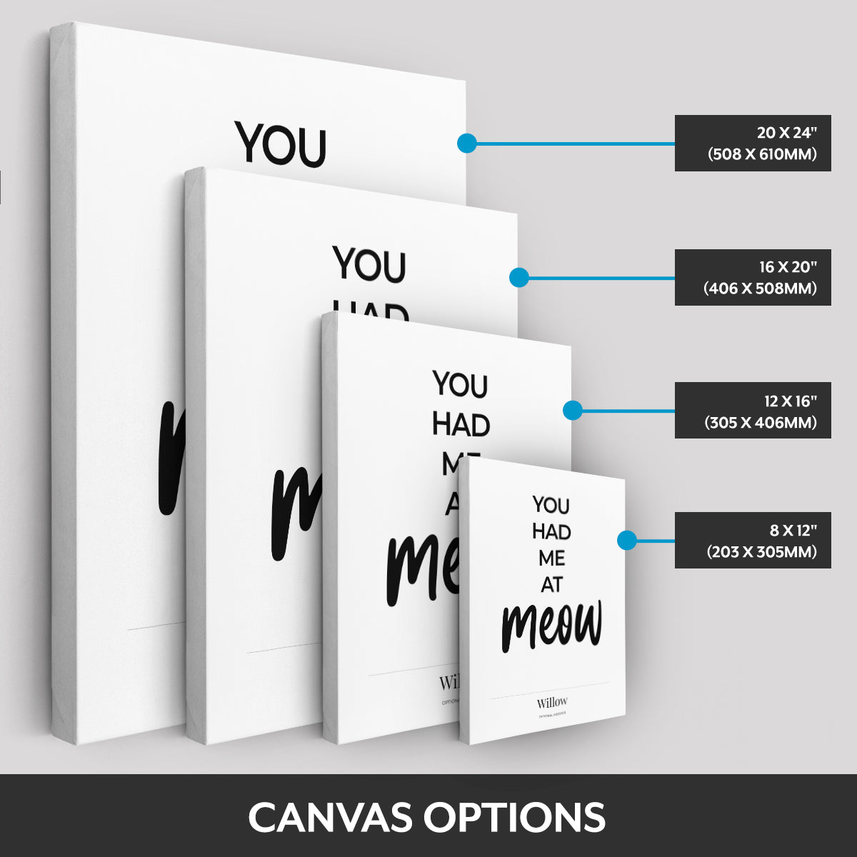 Canvas options