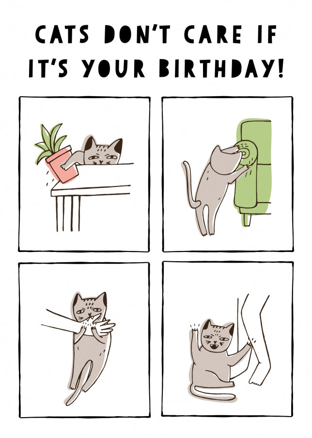 Crazy Cat Birthday Card - Humorous Birthday Cards from the Cat