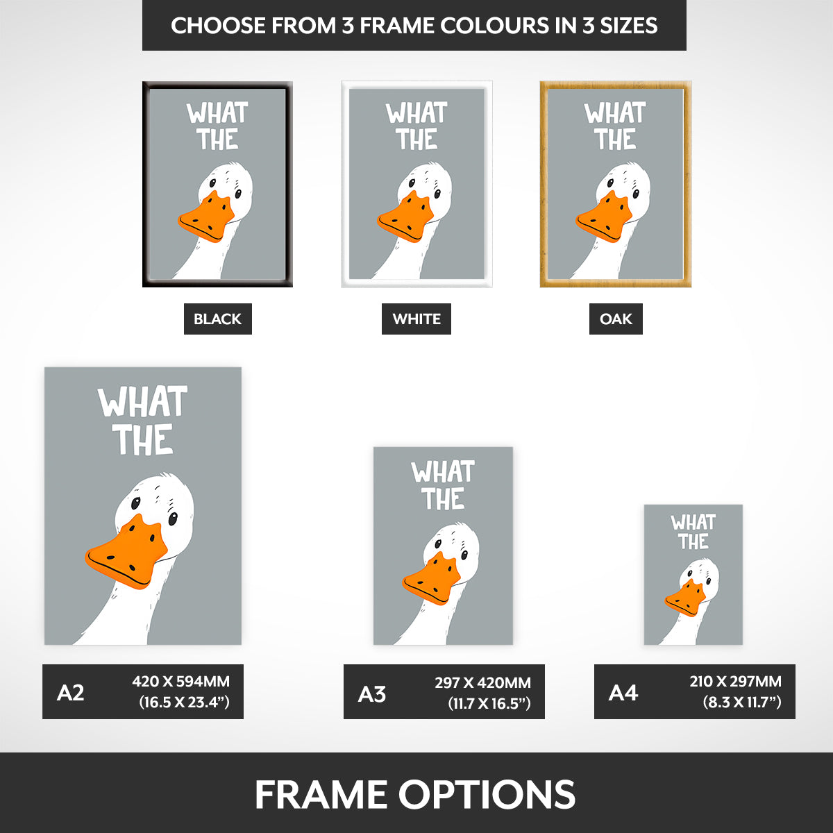 Frame options