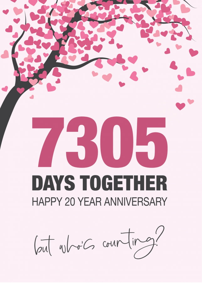 Happy 20th Wedding Anniversary Card for Husband, Wife and Couples | Who's Counting