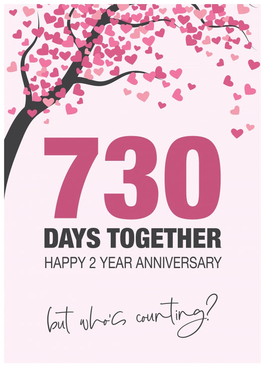 Happy 2nd Wedding Anniversary Card for Husband, Wife and Couples | Who's Counting