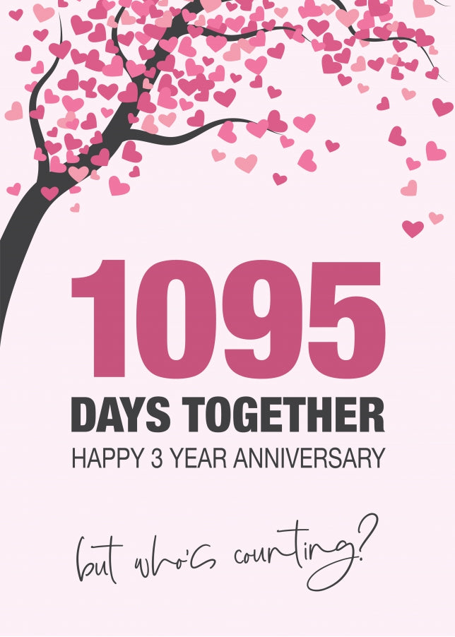 Happy 3rd Wedding Anniversary Card for Husband, Wife and Couples | Who's Counting