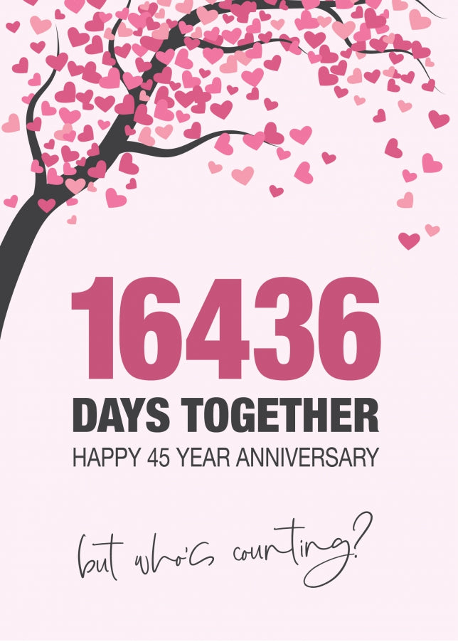 Happy 45th Wedding Anniversary Card for Husband, Wife and Couples | Who's Counting