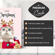 Main features of this cat cards christmas
