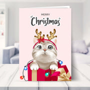 christmas card from the cat shown in a living room