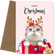 Cute Cat Christmas Card from the Cat in a Box (Present)
