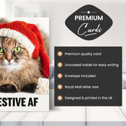 Main features of this funny cat christmas card