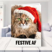 christmas card from cat shown in a living room