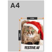 The size of this christmas card cat is 7 x 5" when folded