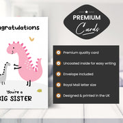 Main features of this big sister gift