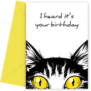 Cat Birthday Card (Watching) -  Funny Birthday Cards for Women & Men