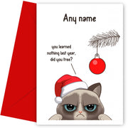 Personalised Cat You Learned Nothing Christmas Card